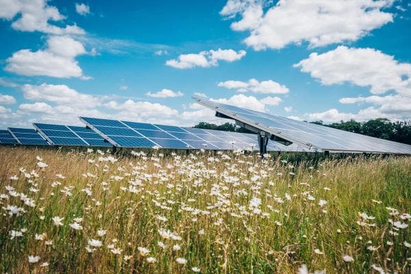 LackfordSolarFarm